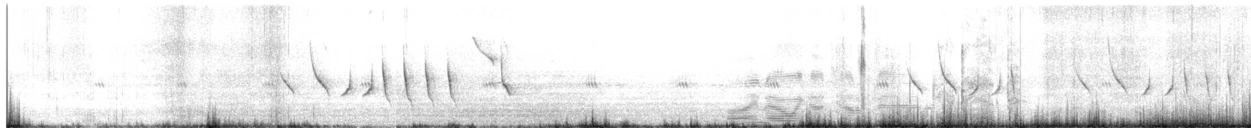 Pipit de Sundevall - ML647082512