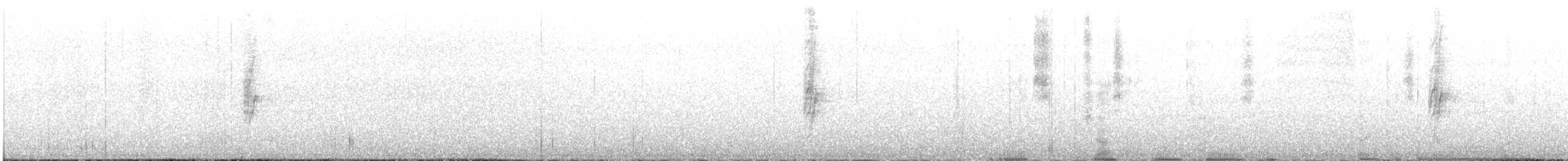 Miro à poitrine blanche - ML647082584