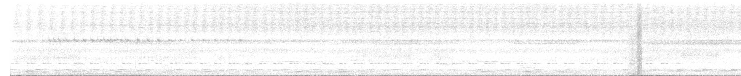 Tocro uru - ML647082588