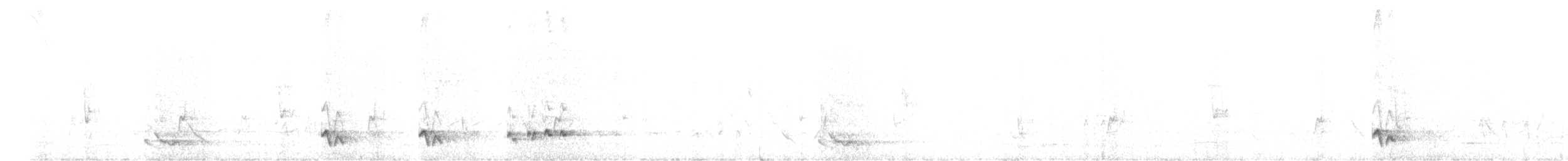 Méliphage chanteur - ML647082725