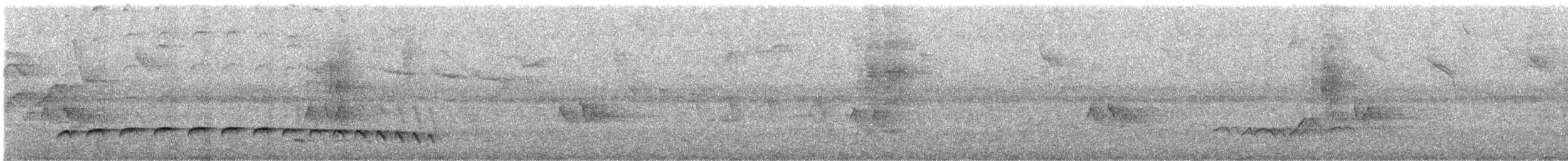 Batara gorgeret - ML647082730