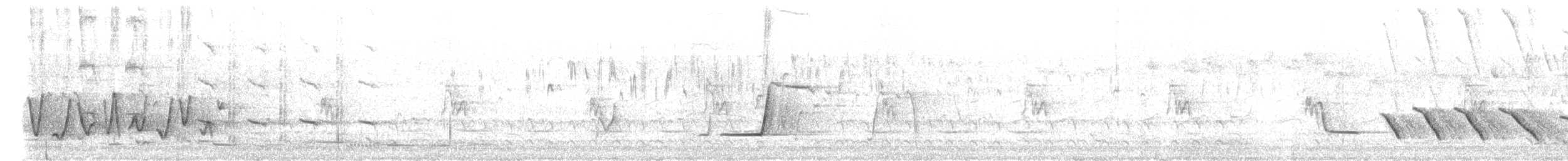 Siffleur itchong - ML647082740