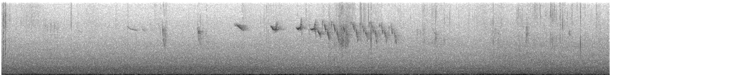 Mérion élégant - ML647082748