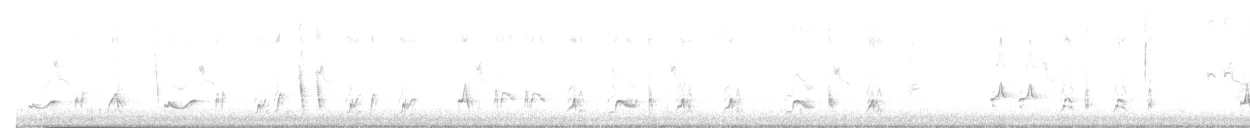 Moqueur à bec courbe (groupe palmeri) - ML647082760