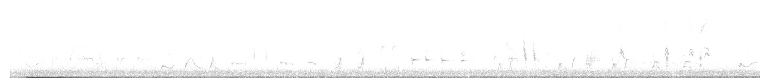 Moqueur à bec courbe (groupe palmeri) - ML647082780