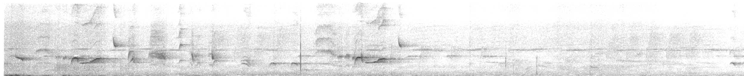 Grive tachetée - ML647082802