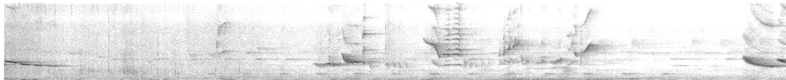 Grive tachetée - ML647082803