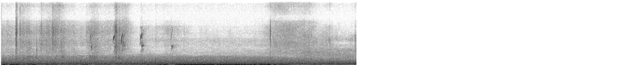 Bécasseau sanderling - ML647082875