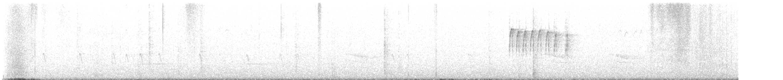 Mokoker arrunta - ML647083004