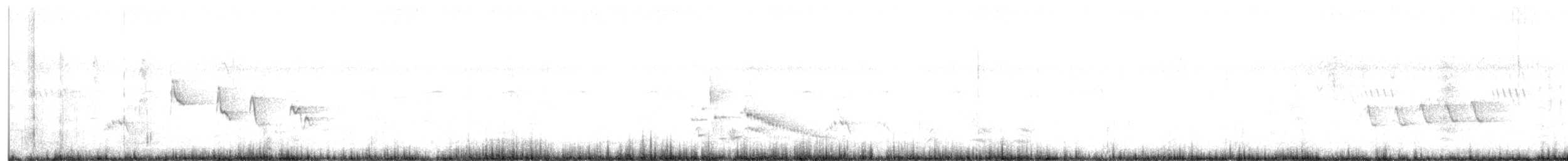 Black-bellied Starling - ML647083021