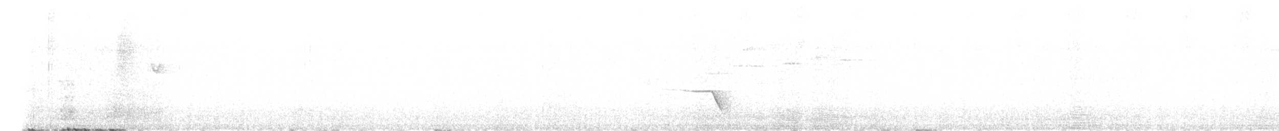 Siffleur olivâtre - ML647083036