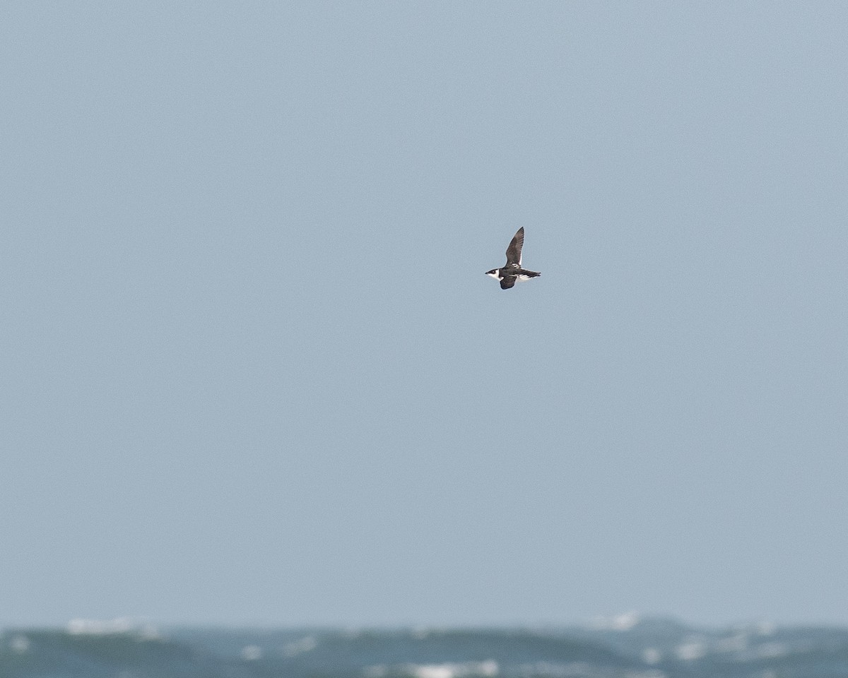 Люрик - ML647083214