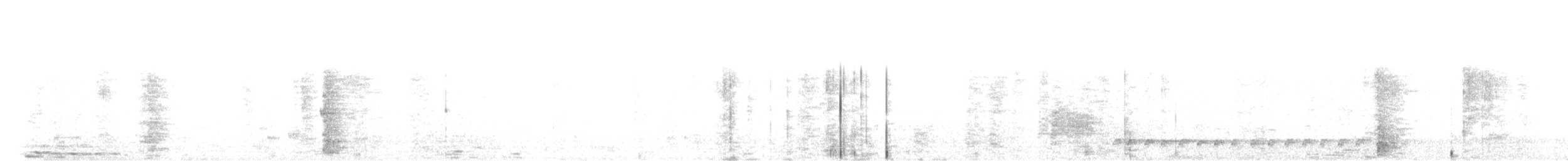 White-bellied Woodpecker - ML647083282