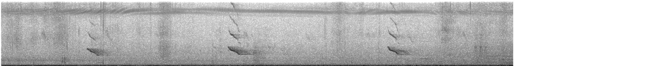 Common Hill Myna - ML647083303