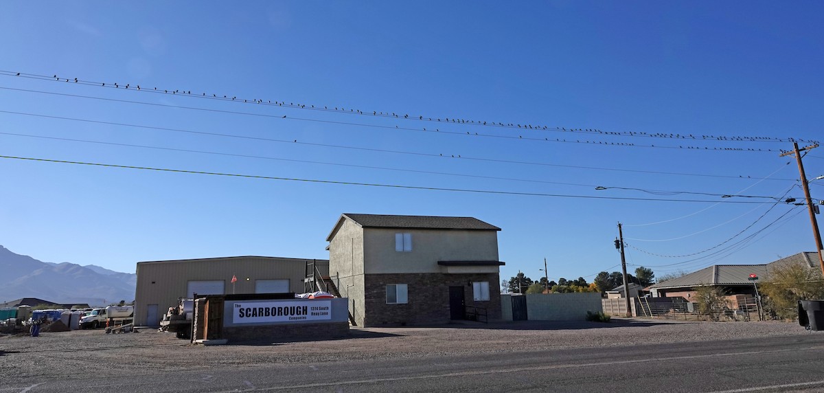 Brewer's Blackbird - ML647084190