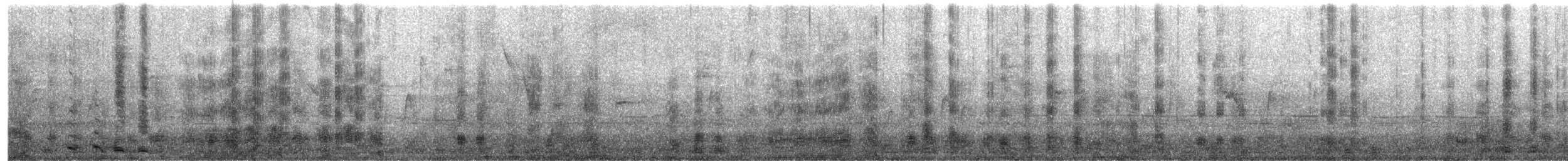 husa sněžní - ML647084240