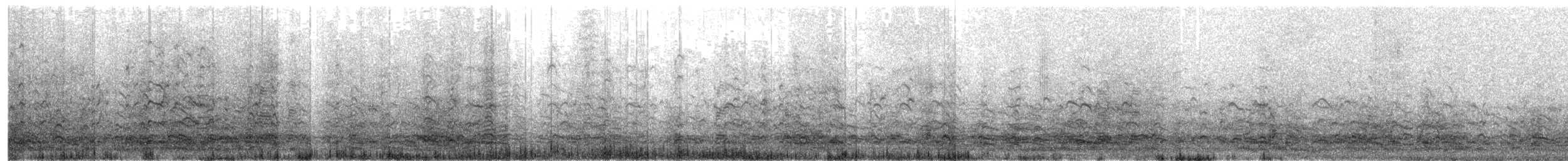 Greater White-fronted Goose - ML647084292