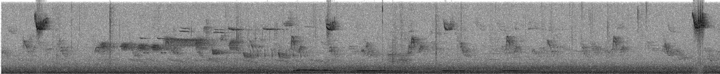 hrdlička karolínská - ML647084459