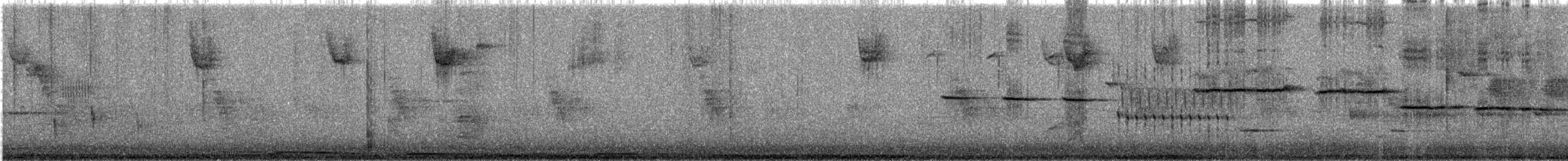 strnadec bělohrdlý - ML647084469