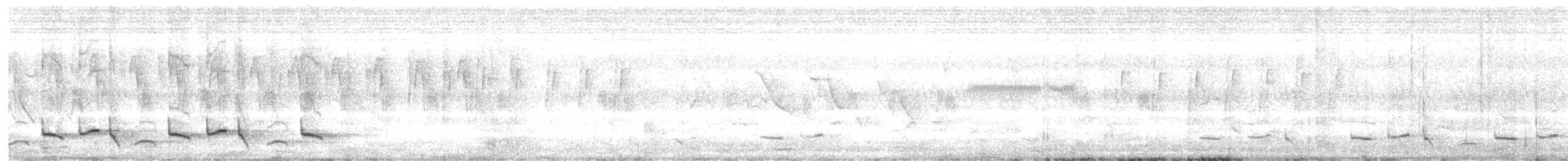 White-browed Robin-Chat - ML647084771