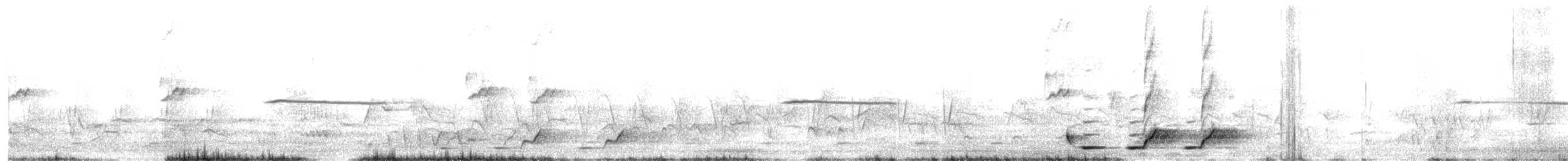 Four-colored Bushshrike - ML647085055