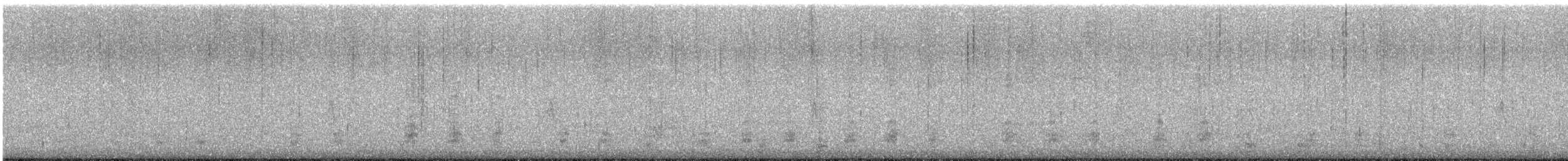 kachna divoká - ML647085066