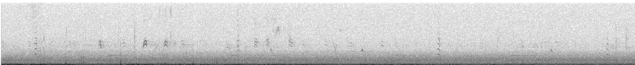 brhlík běloprsý - ML647085450