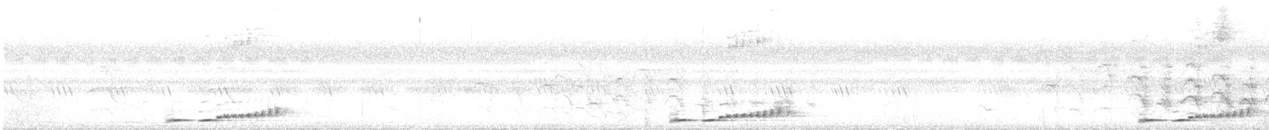 インドマミジロマルハシ - ML647086476