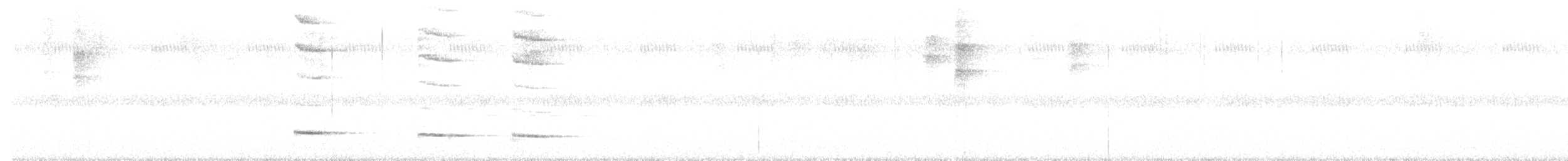 Black-faced Antthrush - ML647088797