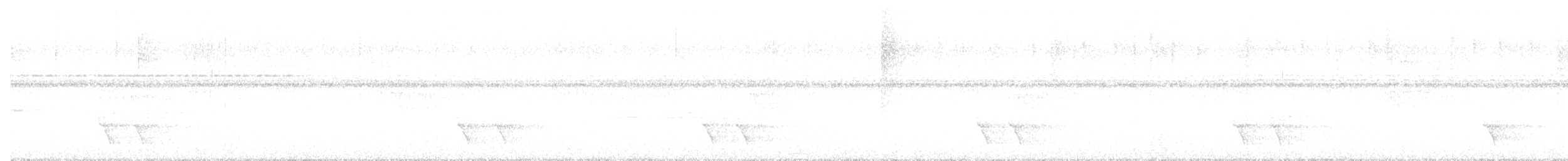 Schwarzbrust-Blaurabe - ML647088881