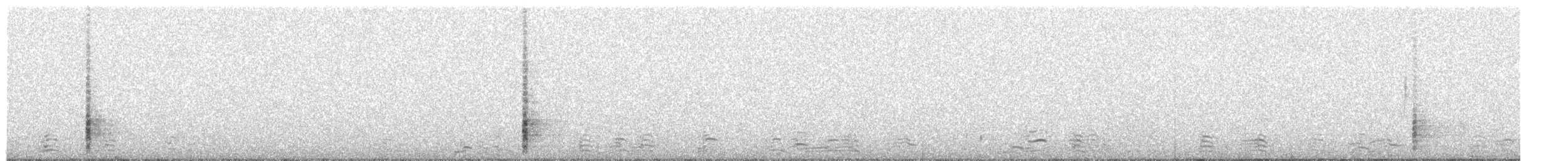 Great-tailed Grackle (Great-tailed) - ML647089025