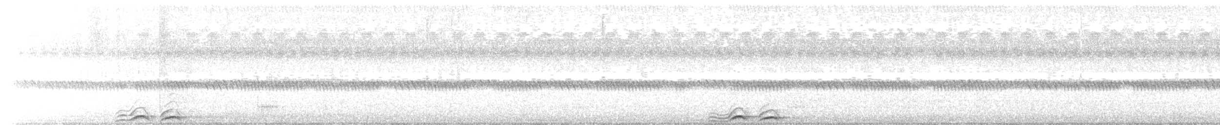 Barking Owl - ML647089117