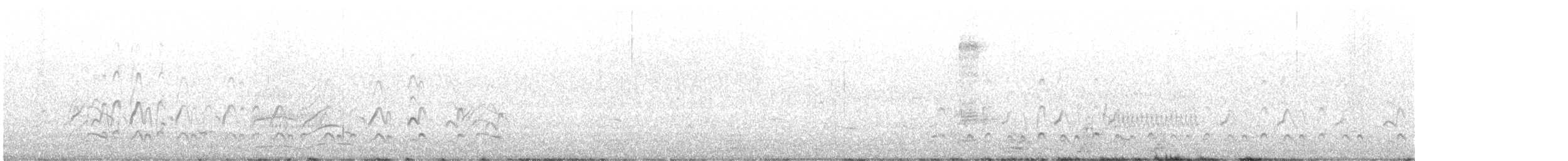 Hudsonian Godwit - ML647090922