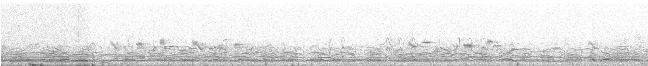 Gavión Hiperbóreo - ML647091406