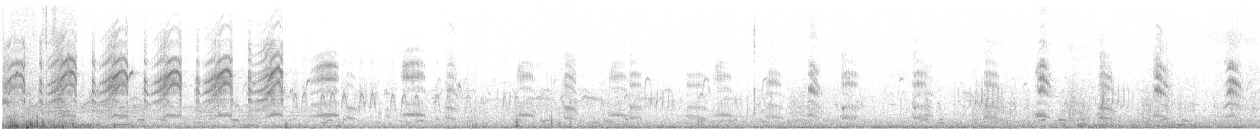 Sabine's Gull - ML647091693