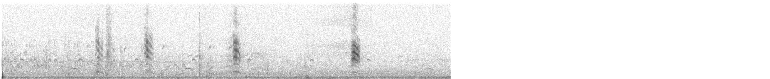 Sabine's Gull - ML647091694