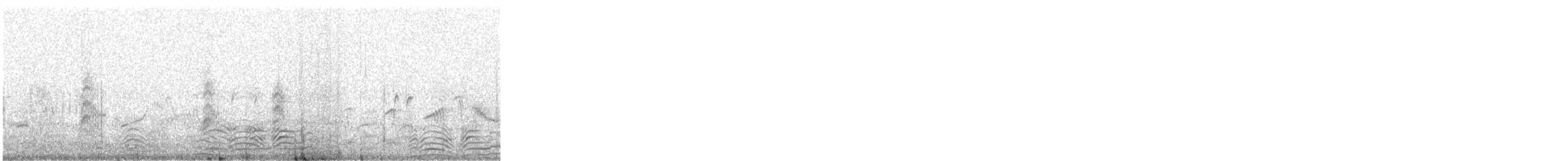 hoholka lední - ML647091860