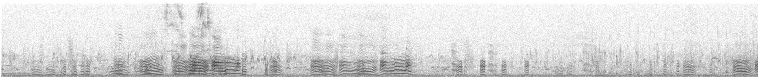 hoholka lední - ML647091861