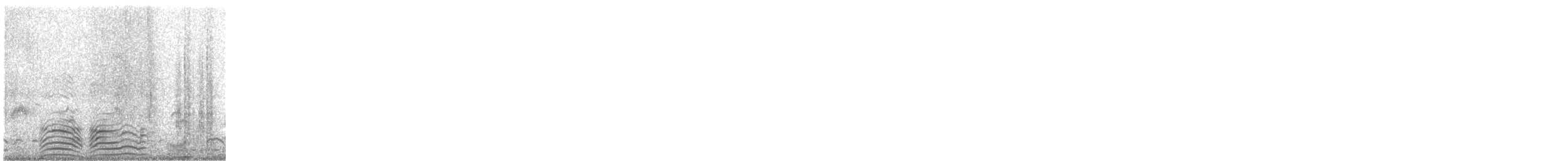 hoholka lední - ML647091863