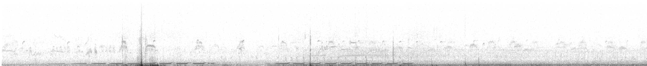 Pectoral Sandpiper - ML647092296