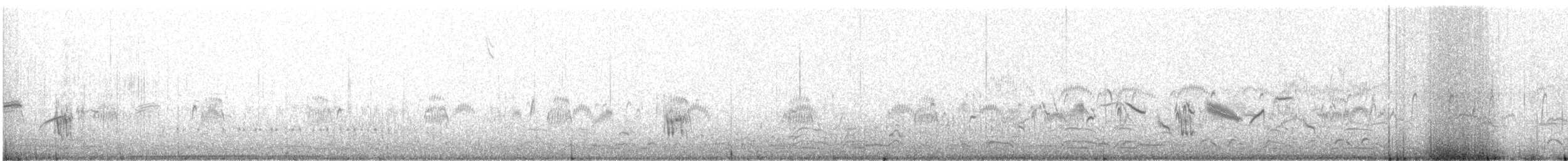 Pectoral Sandpiper - ML647092297