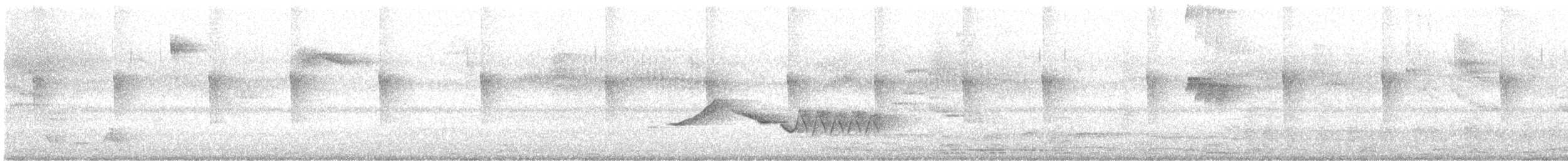 Cucarachero Pechirrufo - ML647094086