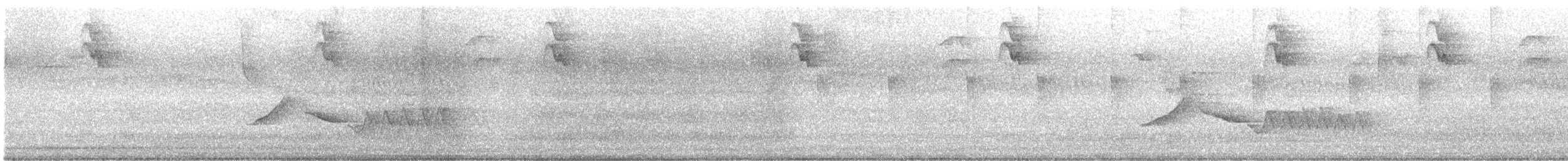 Cucarachero Pechirrufo - ML647094087