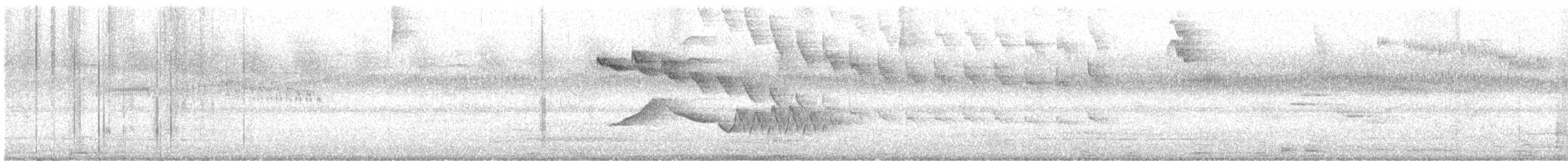 Cucarachero Pechirrufo - ML647094091