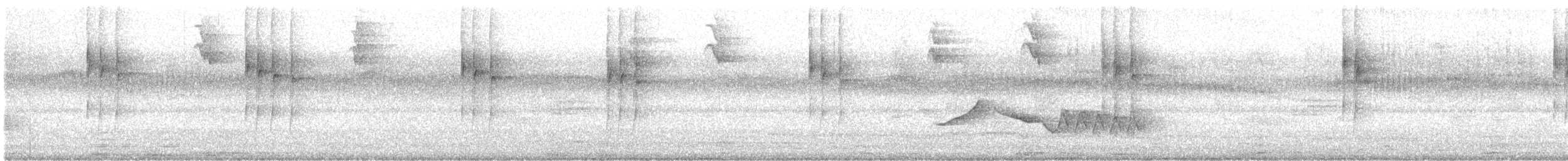 Colibrí Verdemar Menor - ML647094206