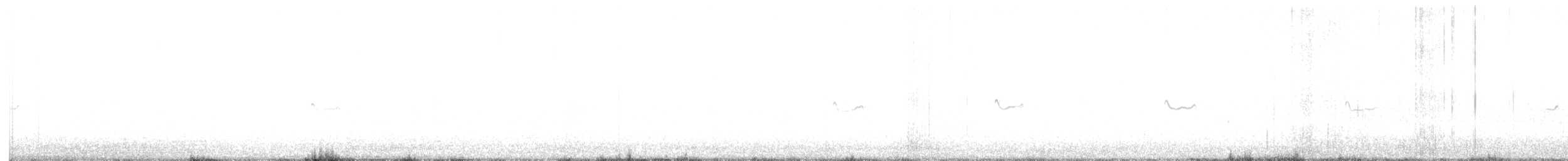 Chorlitejo Culirrojo - ML647094304