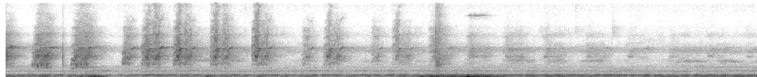 Loro Cabeciazul - ML647094413