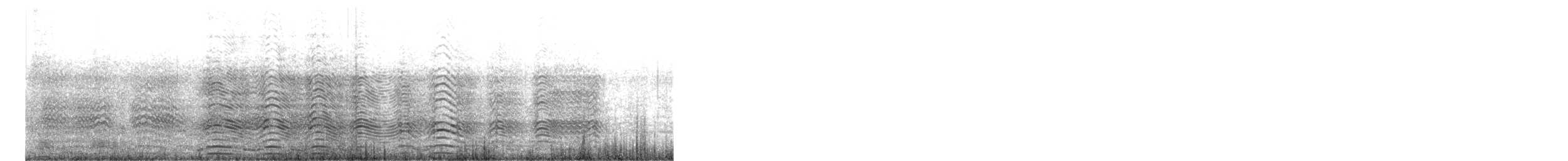 Pingüino Rey - ML647094471