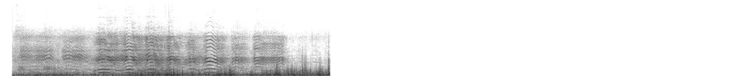 Pingüino Rey - ML647094490