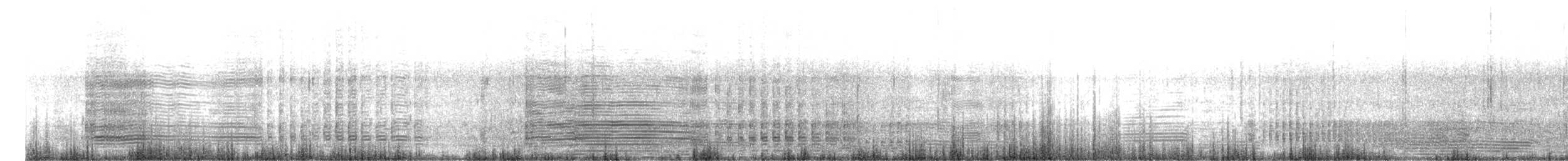 Pingüino de Schlegel - ML647094595